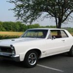 white-1964-pontiac-gto-pictures